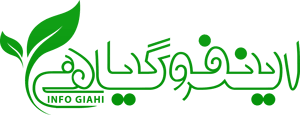 infogiahi logo